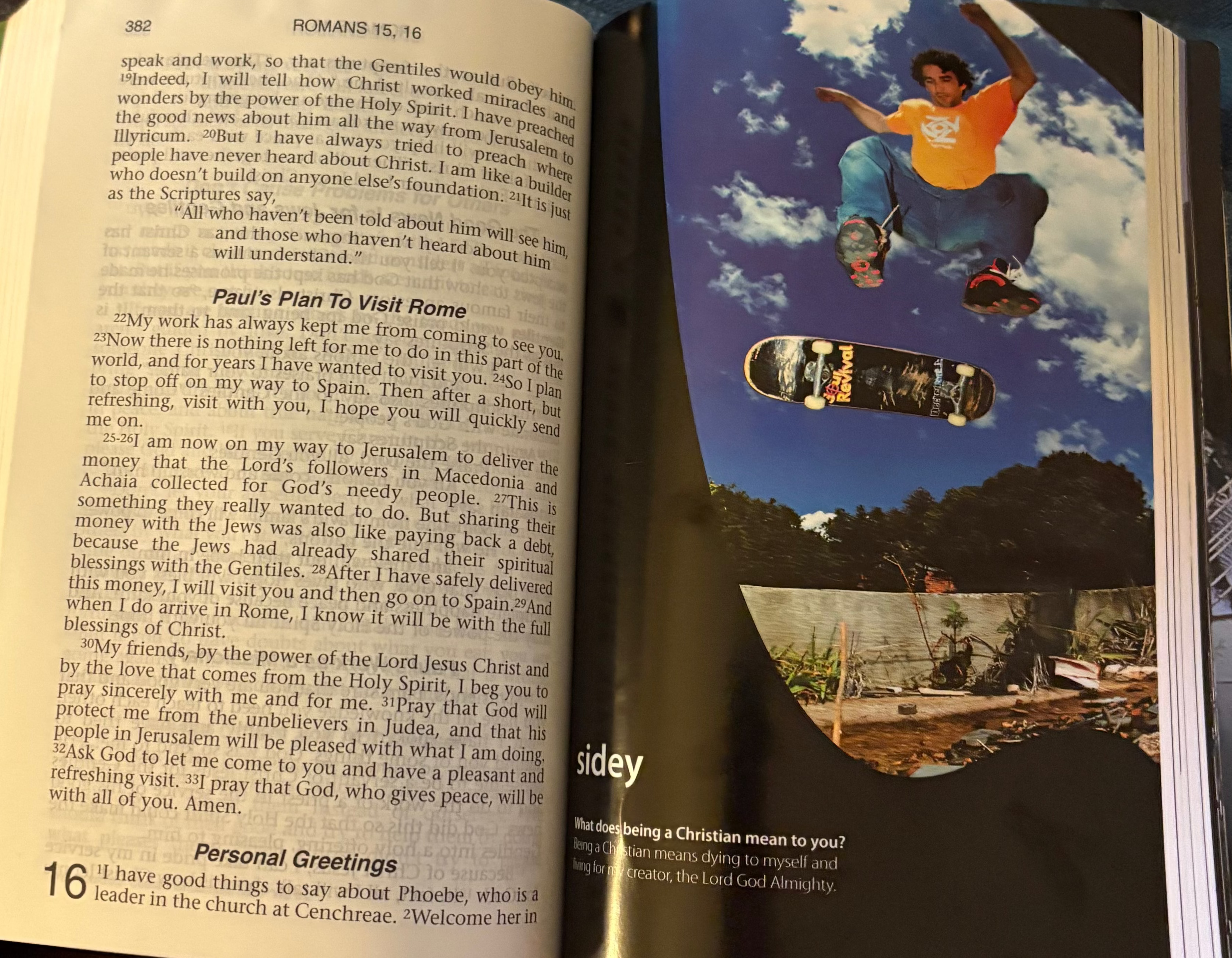 The Skater’s Bible